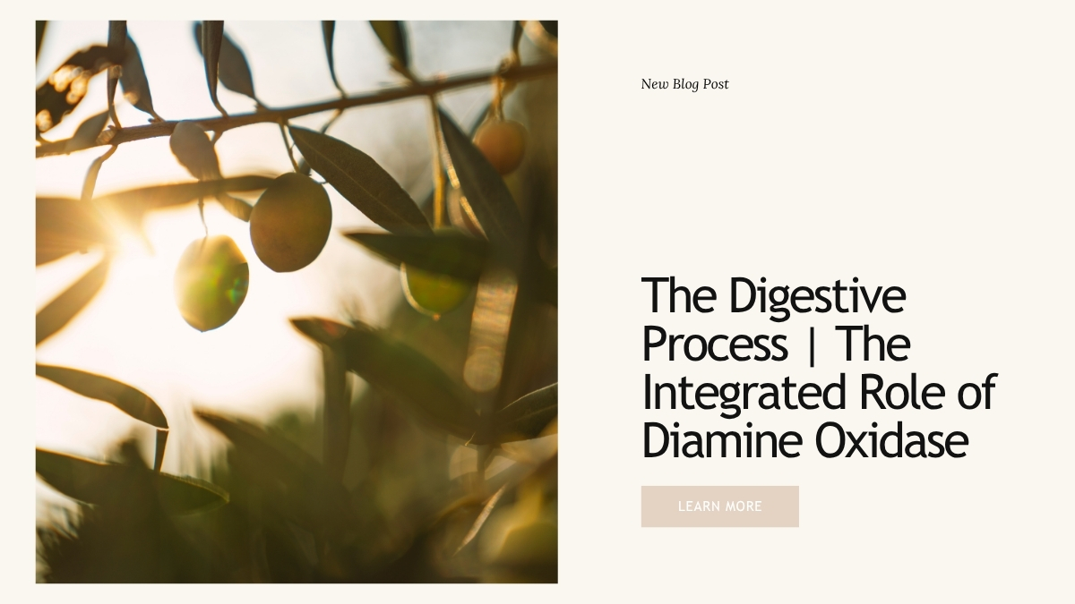 The Digestive Process